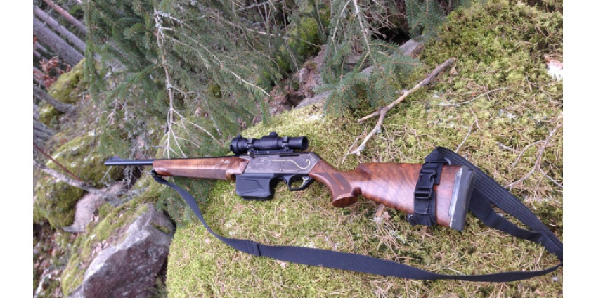 Трагедия в Калифорнии: брат застрелил брата, их мать задержана полицией