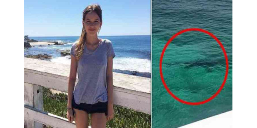 Девушку-студентку из Калифорнии на Багамах растерзали акулы