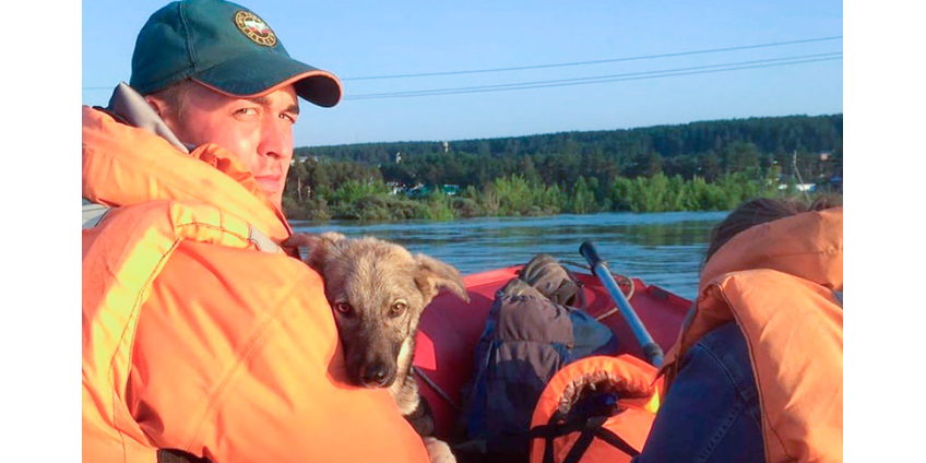 В Иркутской области подсчитывают потери от паводка