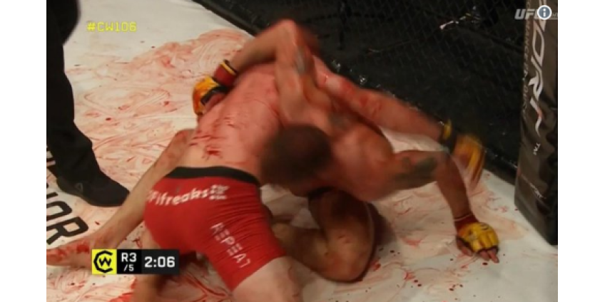 Поединок по правилам MMA остановили из-за большого количества крови