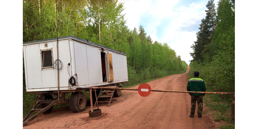 В Иркутской области в день траура в память о жертвах наводнения начал действовать новый режим ЧС. Теперь из-за лесных пожаров