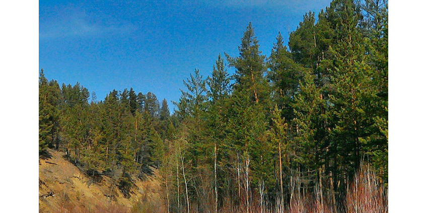 На Байкале разрешат вырубить лес ради БАМа и Транссиба