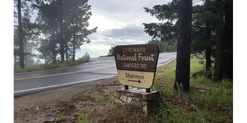 В Аризоне рысь напала на пять человек в кемпинге