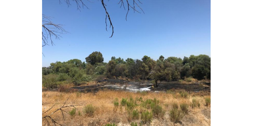 В результате ландшафтного пожара сгорели два акра