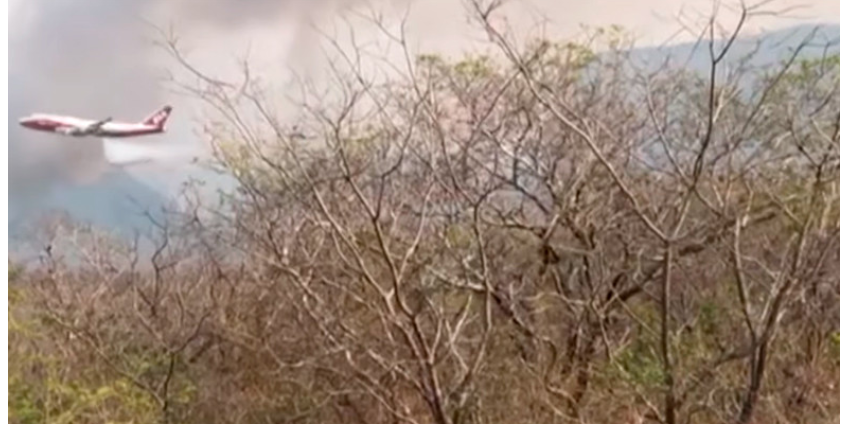 Пожары в Южной Америке: выгорело 1,2 млн гектаров саванн в Боливии