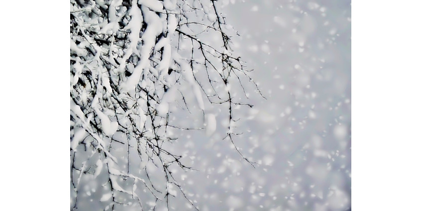 Американскую Монтану и канадскую Альберту завалило снегом