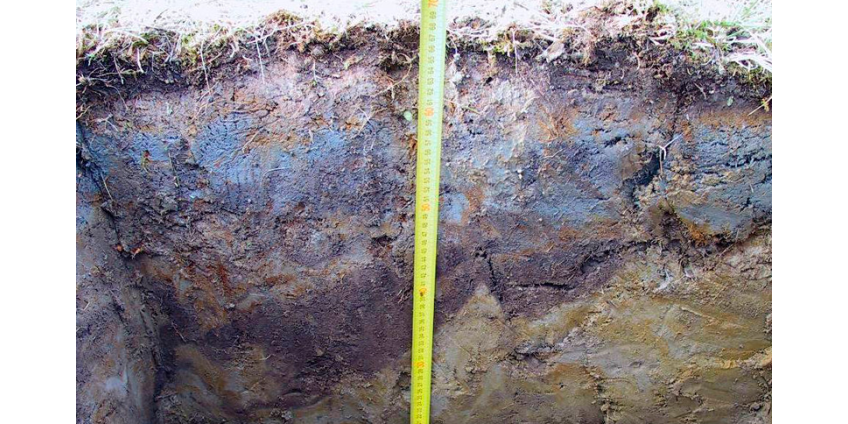 В России начала таять вечная мерзлота: под угрозой - Воркута, Чита, Салехард, Петропавловск-Камчатский, Улан-Удэ