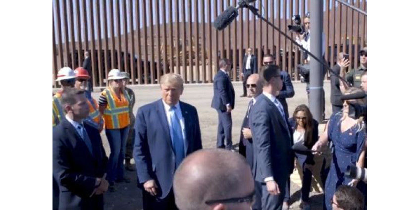 Пограничная стена может навредить кактусам в Аризоне