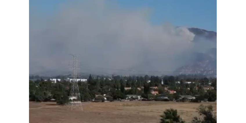 Пожары в Лос-Анджелесе: специалисты установили причину возгорания