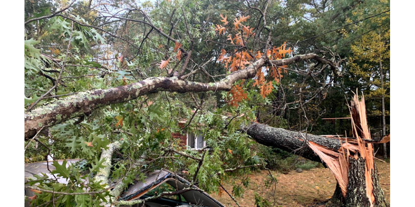 На востоке США без света и тепла остались 547 тыс. потребителей