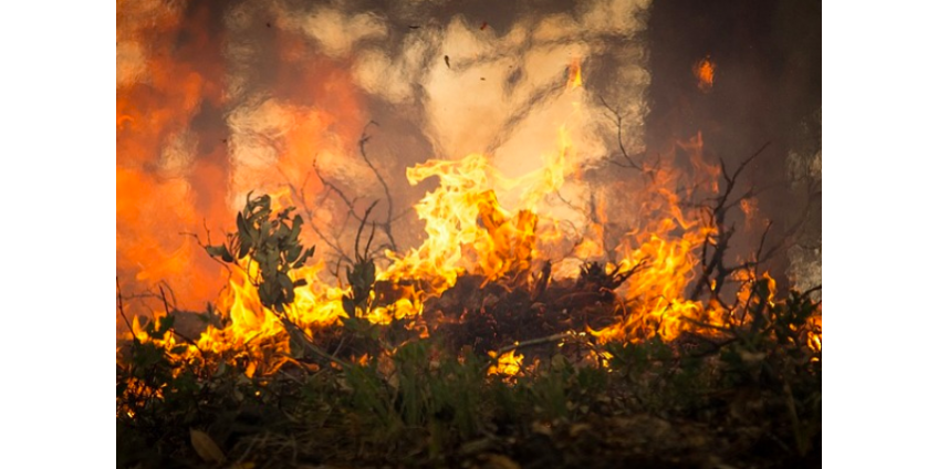 Режим ЧС в Калифорнии: 50 тысяч человек эвакуированы