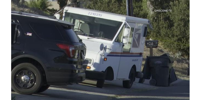 В Сан-Диего был арестован подросток за попытку ограбления и угона