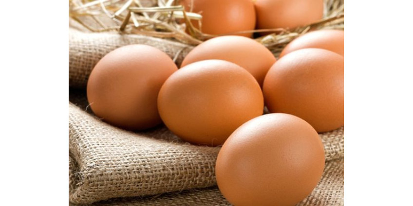 Мужчина упал в обморок и умер после попытки съесть 50 яиц, чтобы выиграть $27 в споре