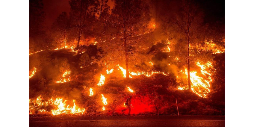 Климатологи высказались об усилении лесных пожаров в Калифорнии