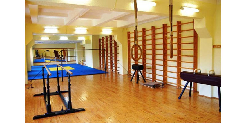 20-летняя американская гимнастка погибла, сорвавшись с брусьев