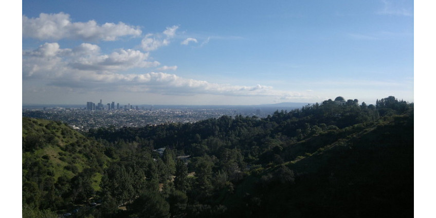 В одном из Калифорнийских парков было найдено расчлененное тело В одном из Калифорнийских парков было найдено расчлененное тело