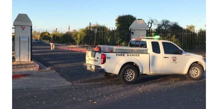 В Аризоне на посетителей парка Глендейл напали пчелы