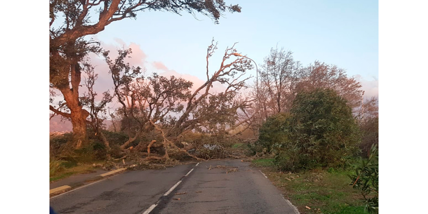Во Франции более 20 тыс. домов остались без электричества из-за бури "Фабьен"