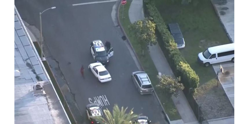 Угонщик автомобиля задержан после столкновения с полицейским автомобилем в центре Лос-Анджелеса