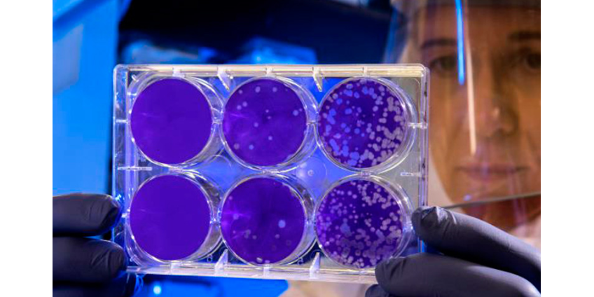 Китайский коронавирус, от которого умерли уже 9 человек, добрался до США