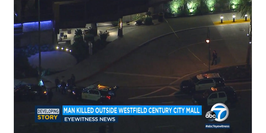 Полиция Лос-Анджелеса сообщила об убийстве мужчины в перестрелке возле торгового центра Westfield Century City