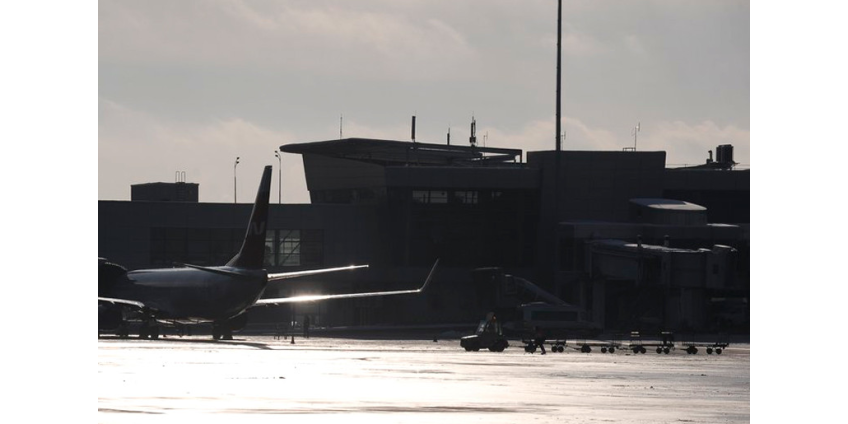 "Шереметьево" ведет расследование гибели двух котов, сданных в багаж на рейсе "Аэрофлота"