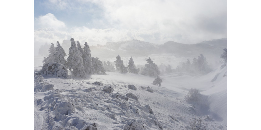 Мальчики, пропавшие в бурю на Аляске, грели младшего, свернувшись вокруг него клубком