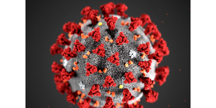 США выделят 100 млн долларов на борьбу с коронавирусом нового типа