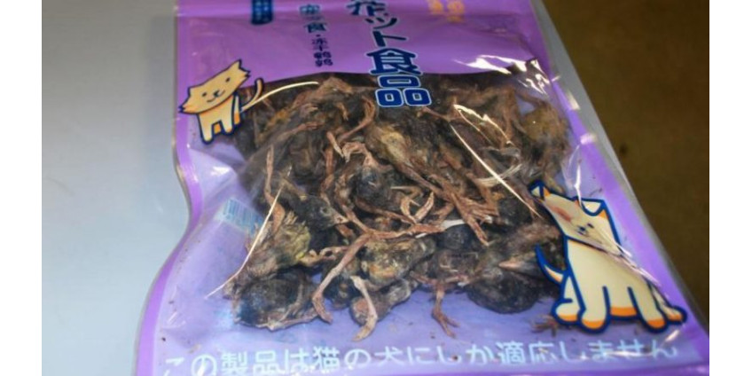 В аэропорту США у путешественника из Китая нашли пакет с мертвыми птицами