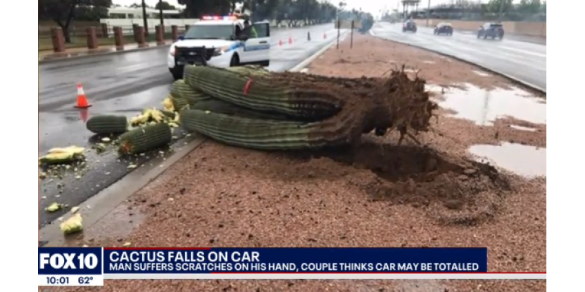 В Финиксе зафиксированы рекордные осадки