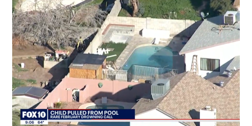 В бассейне в доме в Южном Финиксе едва не утонул мальчик