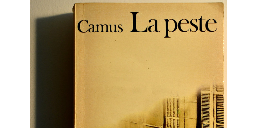 Коронавирус повысил популярность "Чумы" Альбера Камю во Франции и Италии