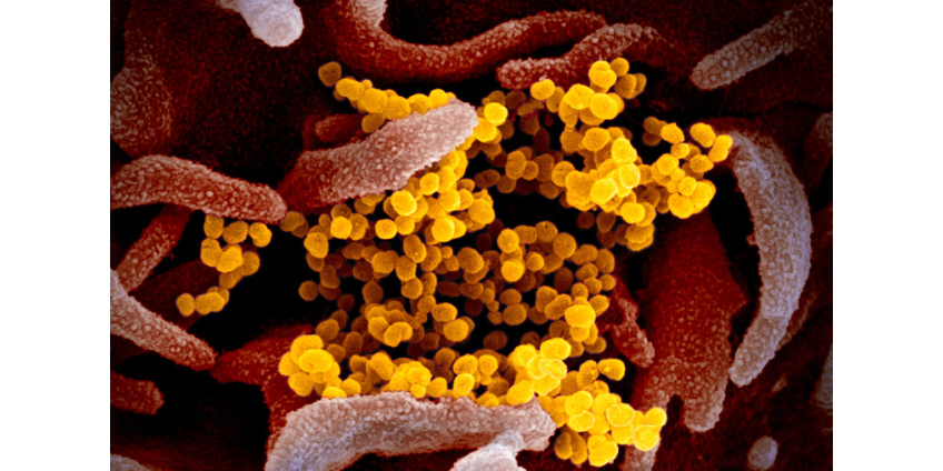 В Италии уже более 50 человек умерли от коронавируса