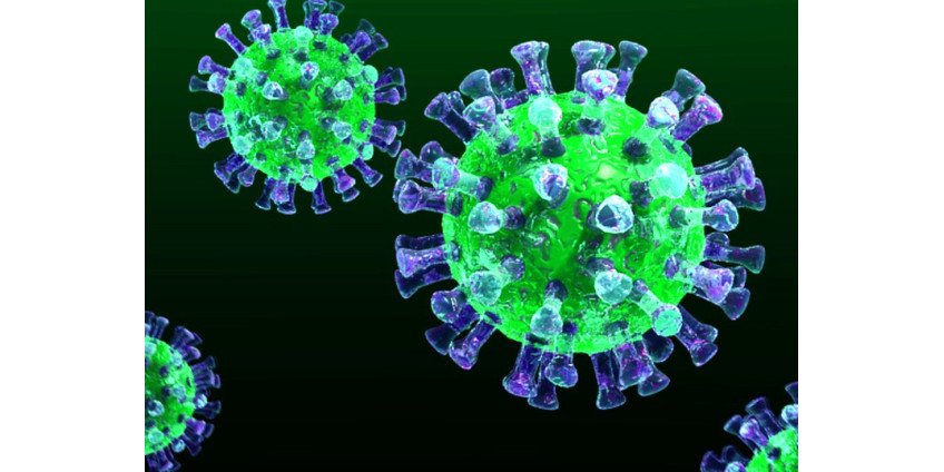 Мэр Финикса: библиотеки и базы отдыха временно закроют