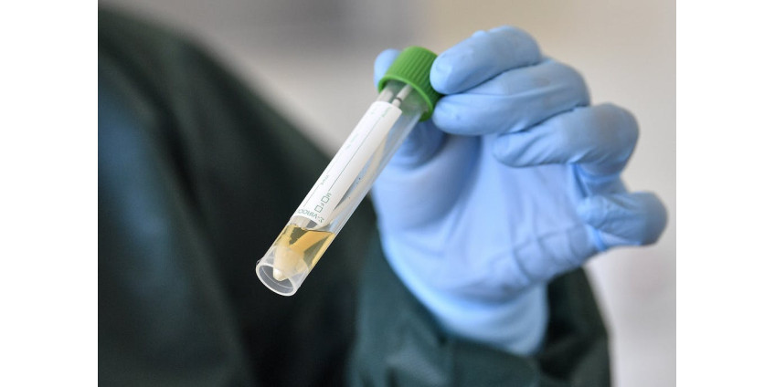 В аэропорту Лос-Анджелеса конфисковали поддельные тесты на коронавирус