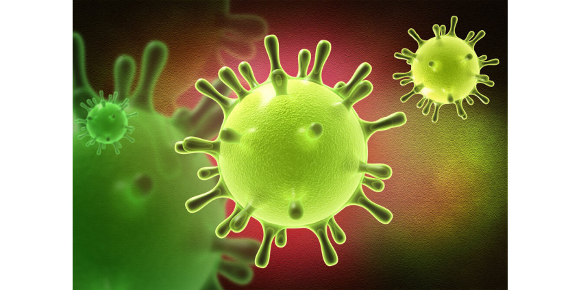 Коронавирус в Аризоне: последние цифры заболеваемости