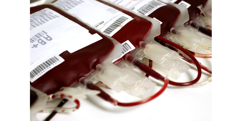 В Лос-Анджелесе заговорили о дефиците донорской крови