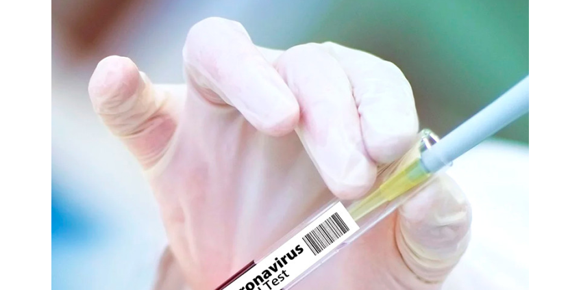 Более 20 тысяч волонтеров согласились заразиться схожими с COVID-19 вирусами за 4,4 тысячи долларов