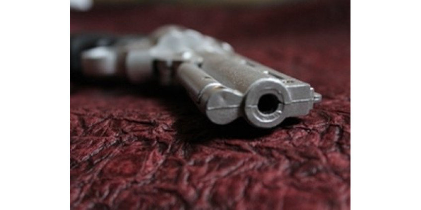 Оружейные магазины Лос-Анджелеса закрываются