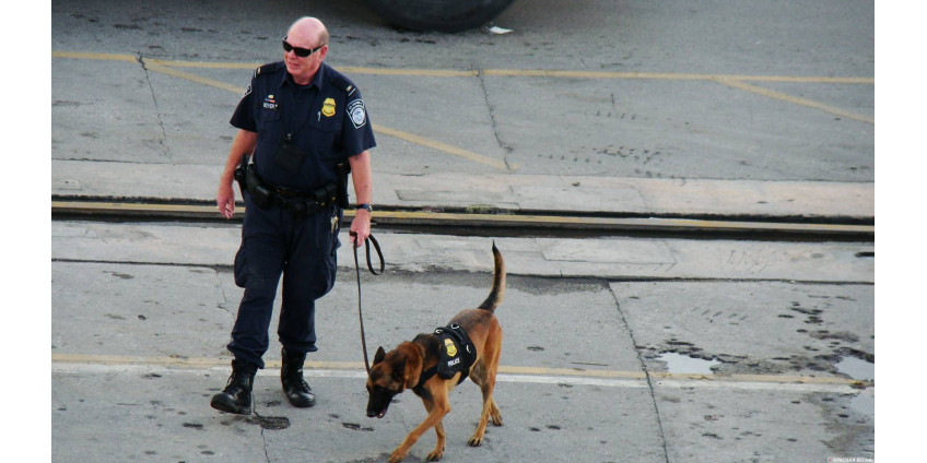 Полиция Лос-Анджелеса перестала обращать внимание на мелких нарушителей