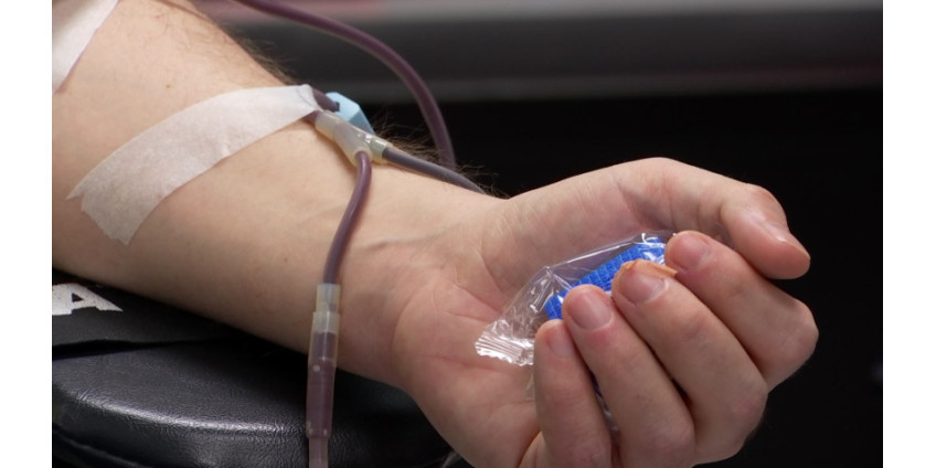 В Сан-Диего планируют использовать плазму крови от выздоровевших пациентов с коронавирусом для лечения заболевших