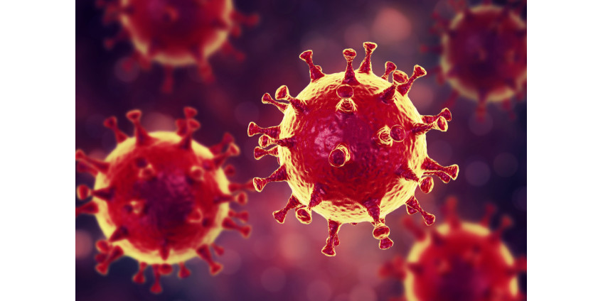 Последствия коронавируса: 44 человека умерли от COVID-19 в округе Сан-Диего