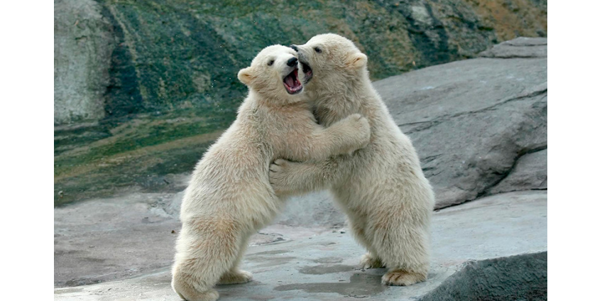 В список наиболее пострадавших от коронавируса отраслей включили музеи, зоопарки и непродовольственную розницу