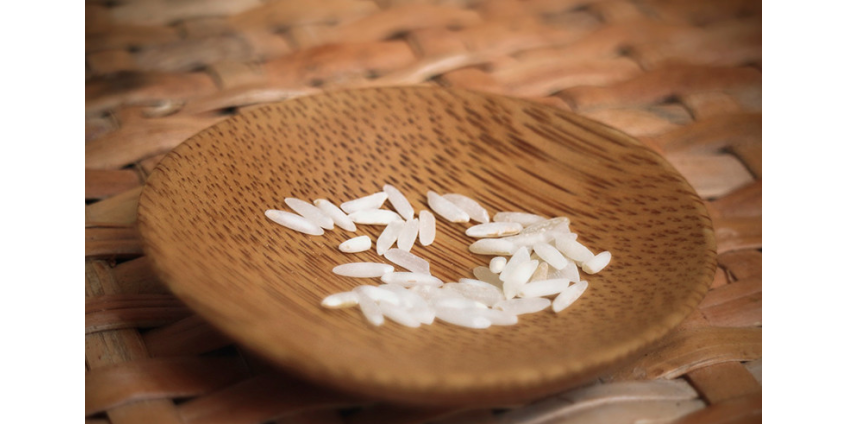 В ООН предупредили о предстоящем голоде "библейских масштабов" из-за коронавируса