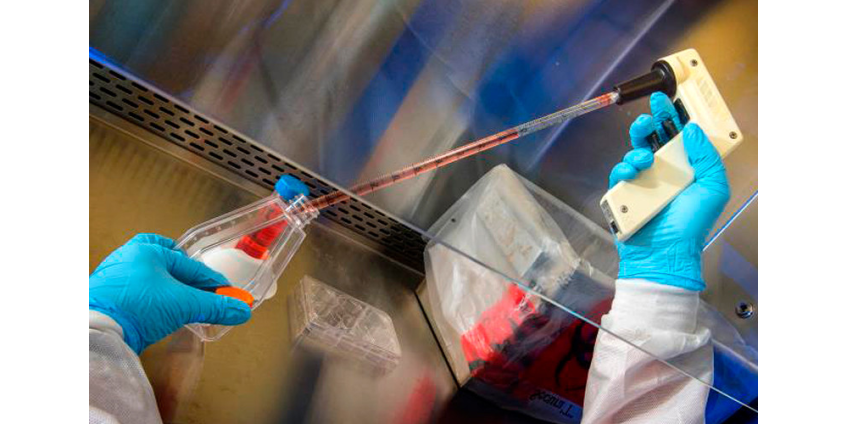 В США обещают создать сотни миллионов доз вакцин против COVID-19 к 2021 году