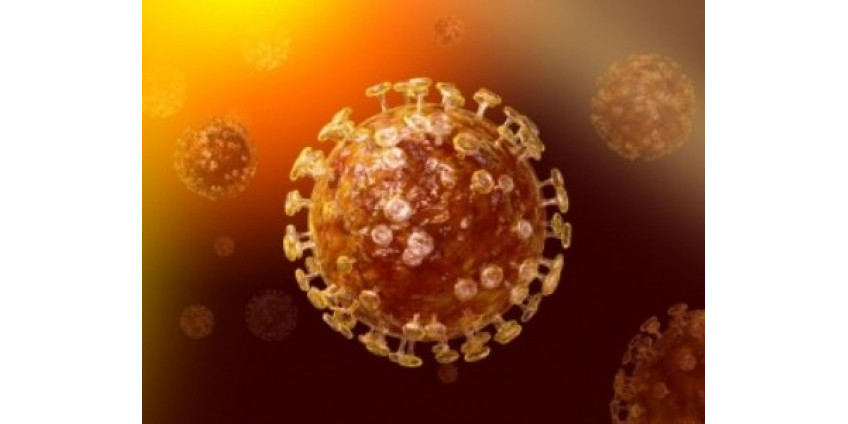 Более половины заключенных федеральной тюрьмы Лос-Анджелеса оказались больны коронавирусом