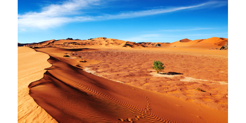 К 2070 году 3,5 млрд человек будут жить в непригодных климатических условиях, как в пустыне Сахара
