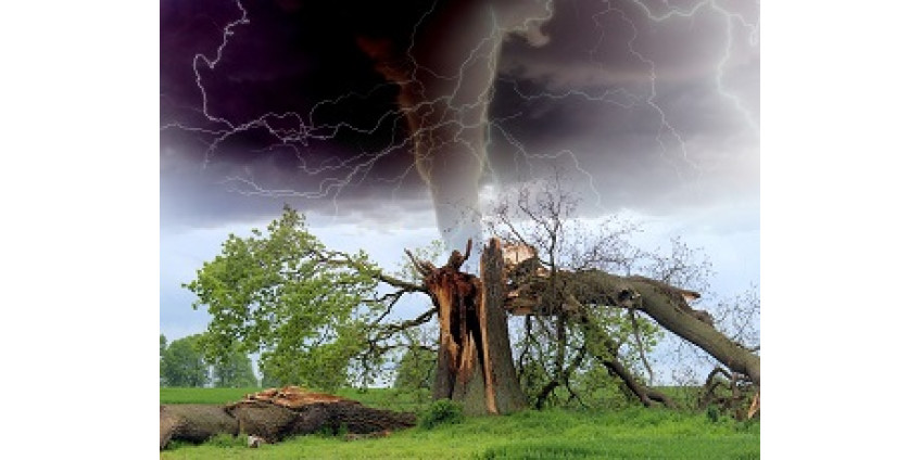 Минувший апрель - второй по числу торнадо в истории США