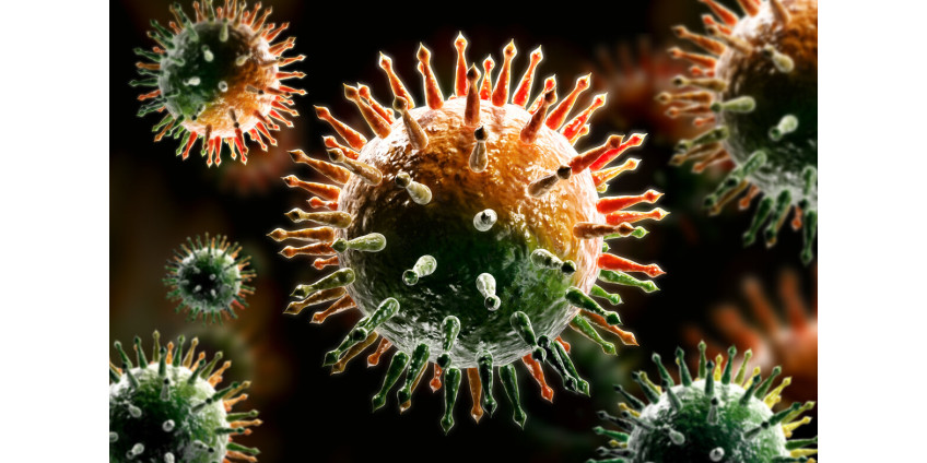 Данные о коронавирусе в Аризоне на 12 мая: более 11,7 тыс. зараженных, 562 смертельных случая