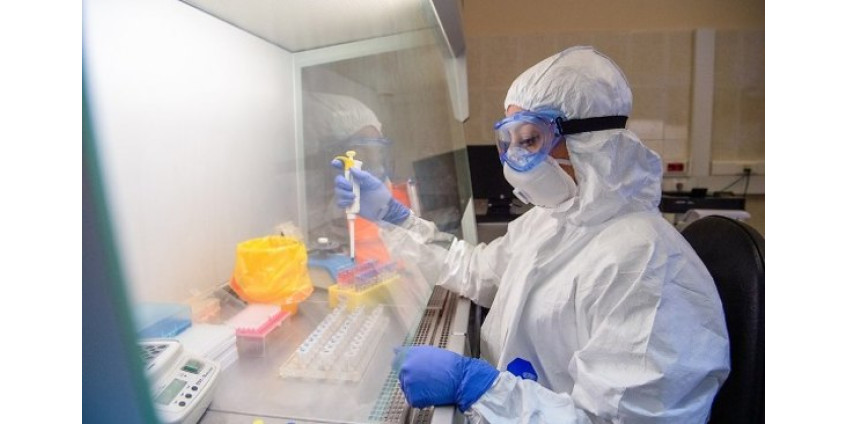 Ученые из Сан-Диего сообщили об обнаружении антитела, полностью блокирующего коронавирус